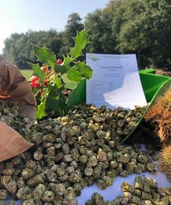 Wiesengrascobs SoftSolution