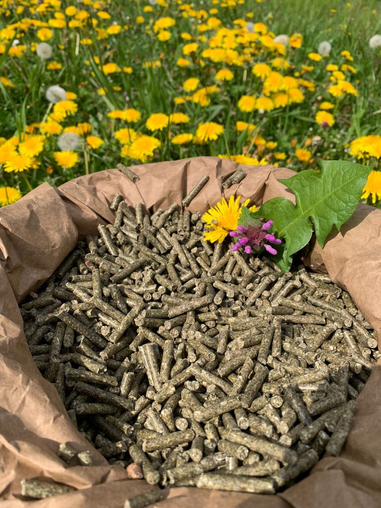 Basic Horse Pellets 740 kg Niederrhein Pellets